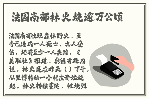 十分钟免费观看视频高清影视